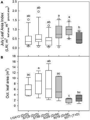 Water Use, Efficiency, and Stomatal Sensitivity in Eastern Cottonwood and Hybrid Poplar Varietals on Contrasting Sites in the Southeastern United States